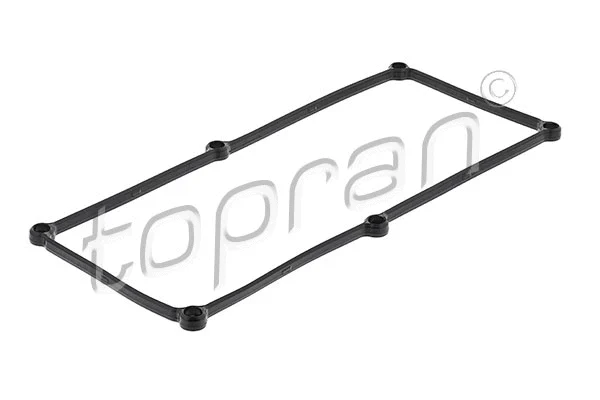 Gasket, cylinder head cover (820 247)