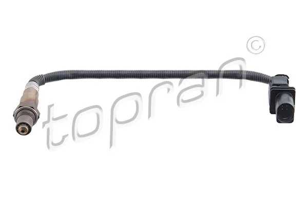Lambda Sensor (207 880)