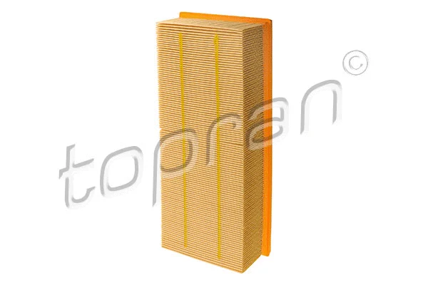 Air Filter (109 788)