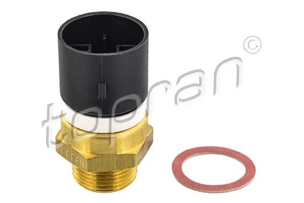 Temperature Switch, radiator fan (202 356)