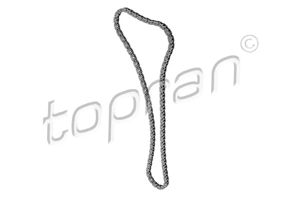 Timing Chain (600 799)