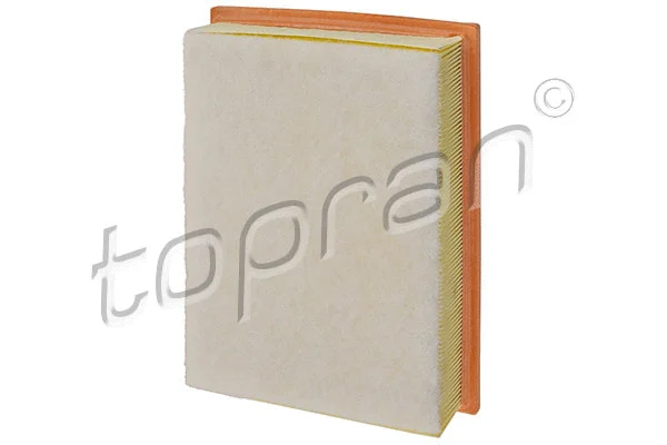 Air Filter (700 665)