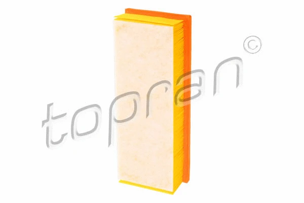 Air Filter (111 177)