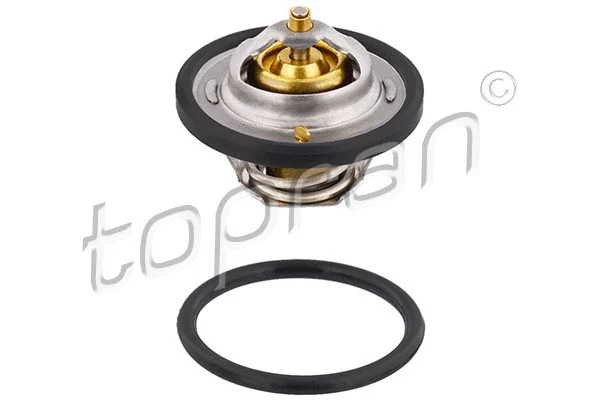 Thermostat, coolant (202 317)