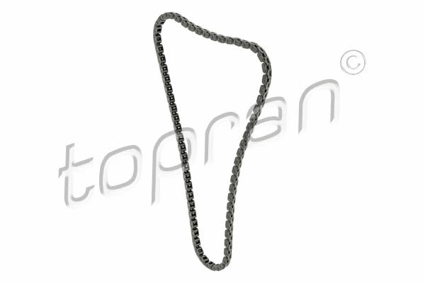 Timing Chain (116 191)