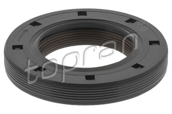 Shaft Seal, camshaft (720 119)