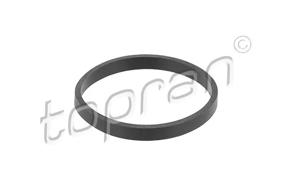 Gasket, intake manifold (109 372)