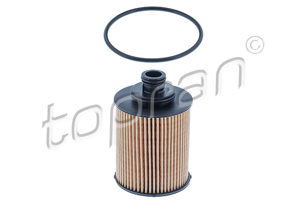 Oil Filter (207 432)