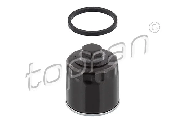 Oil Filter (107 694)