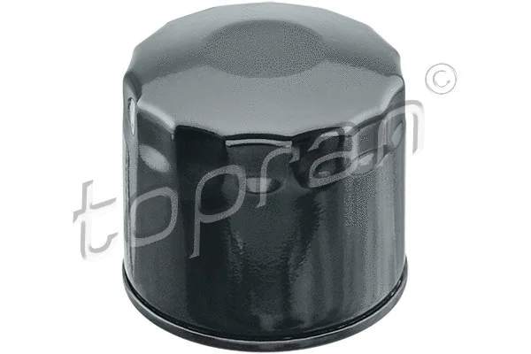 Oil Filter (820 215)