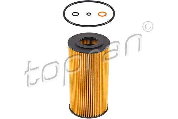 Oil Filter (500 731)