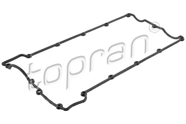 Gasket, cylinder head cover (300 432)