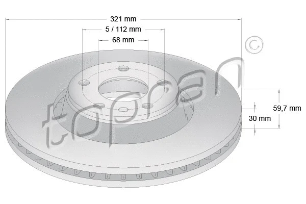 Brake Disc (110 309)