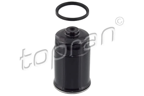 Fuel Filter (820 195)
