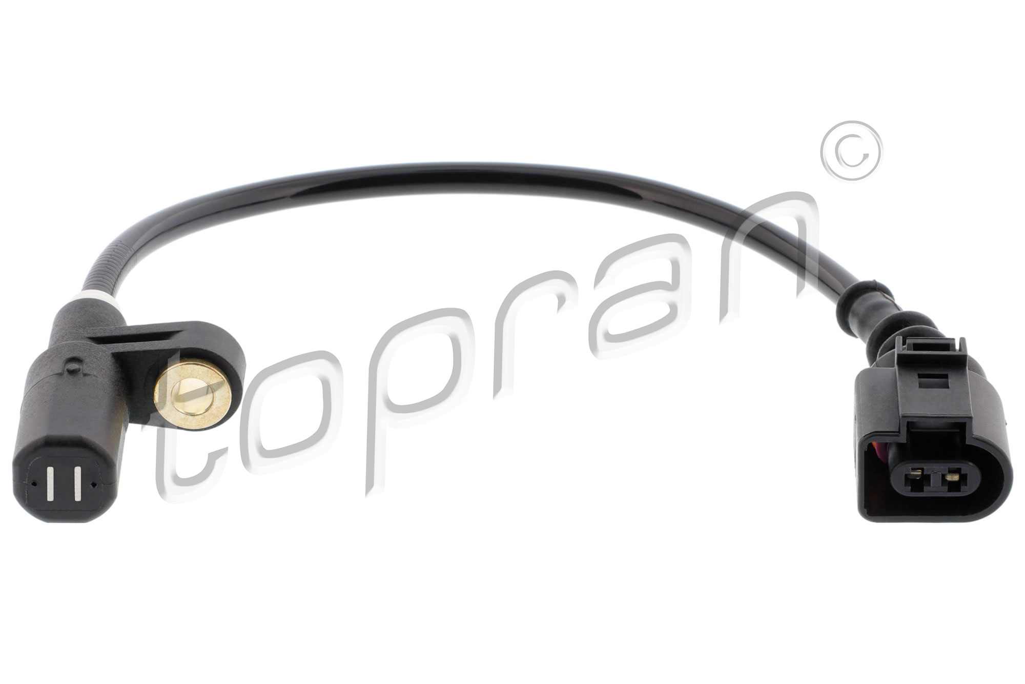 Sensor, wheel speed (110 723)