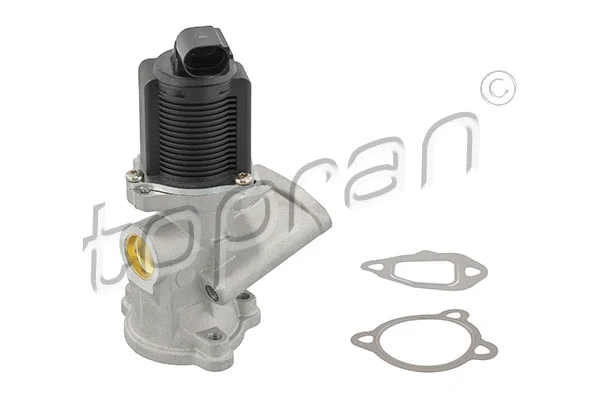 EGR Valve (639 176)