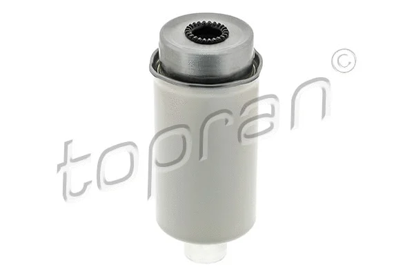 Fuel Filter (302 728)