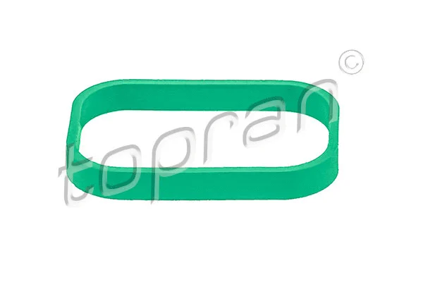 Gasket, intake manifold (112 959)