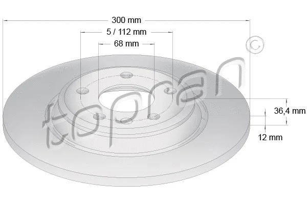 Brake Disc (113 011)