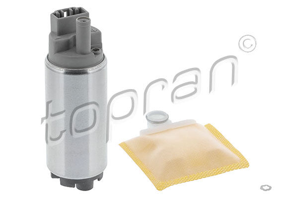 Fuel Pump (820 793)