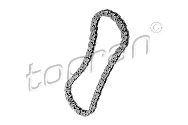 Timing Chain (503 265)