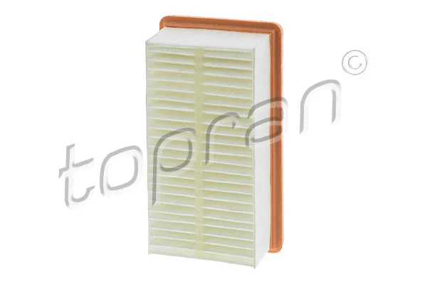 Air Filter (701 647)