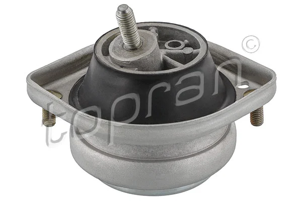 Mounting, engine (500 748)
