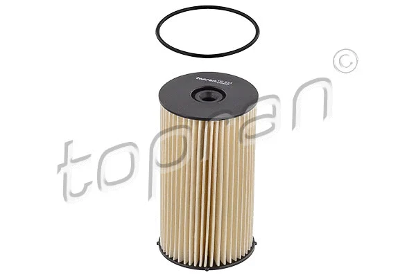 Fuel Filter (110 933)