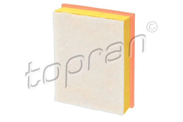 Air Filter (116 358)