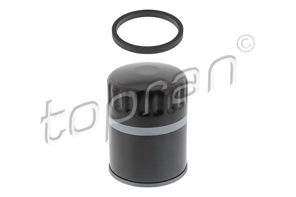 Oil Filter (107 505)