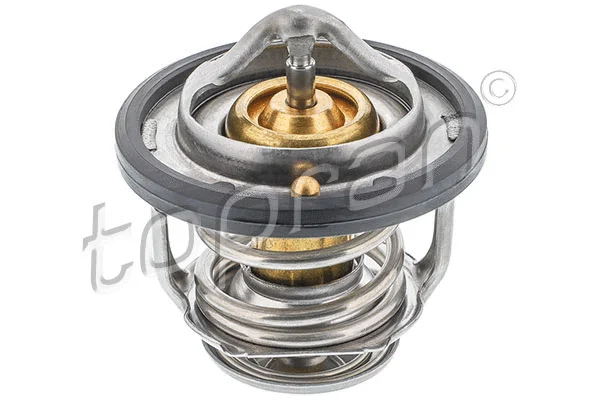 Thermostat, coolant (820 303)