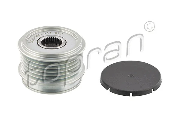 Alternator Freewheel Clutch (111 877)