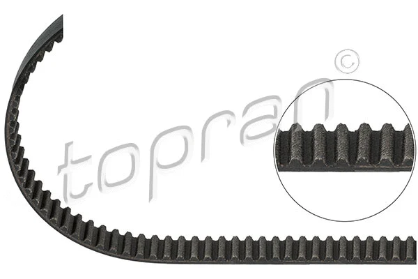 Timing Belt (205 843)
