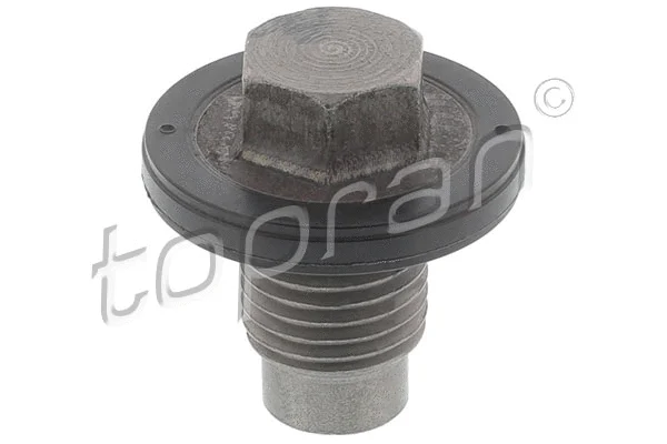 Screw Plug, oil sump (501 474)
