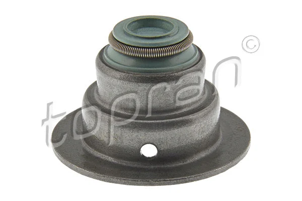 Seal Ring, valve stem (206 541)