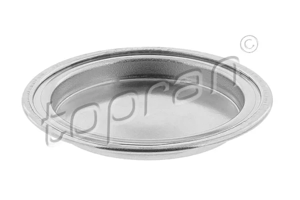 Frost Plug (601 616)