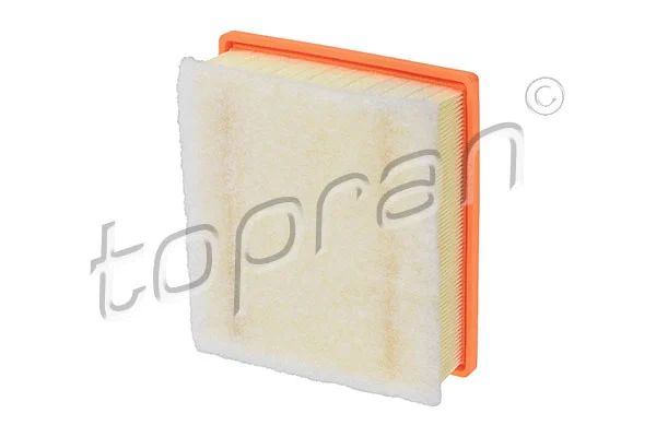 Air Filter (600 537)