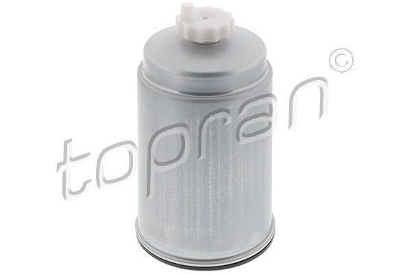 Fuel Filter (300 352)