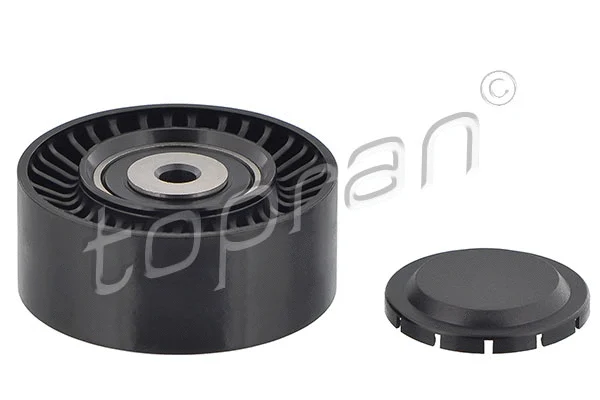 Deflection/Guide Pulley, V-ribbed belt (110 059)