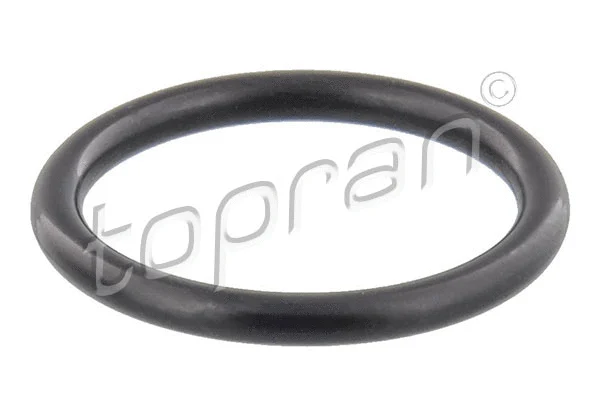 Seal Ring, oil drain plug (304 785)