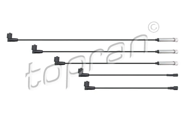 Ignition Cable Kit (202 518)