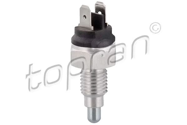 Switch, reverse light (202 159)