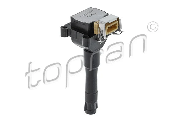 Ignition Coil (500 961)