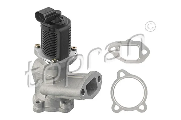 EGR Valve (639 154)