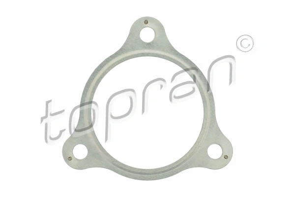 Gasket, exhaust pipe (108 181)