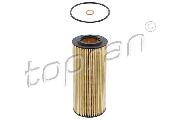 Oil Filter (500 919)