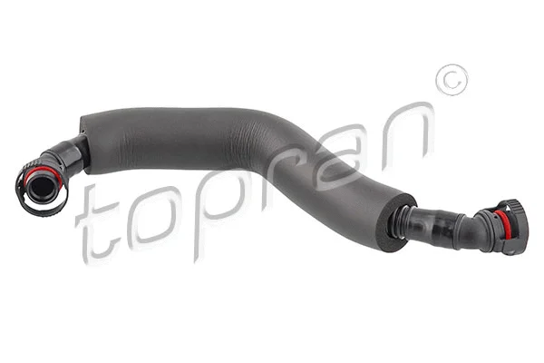 Hose, cylinder head cover ventilation (116 668)