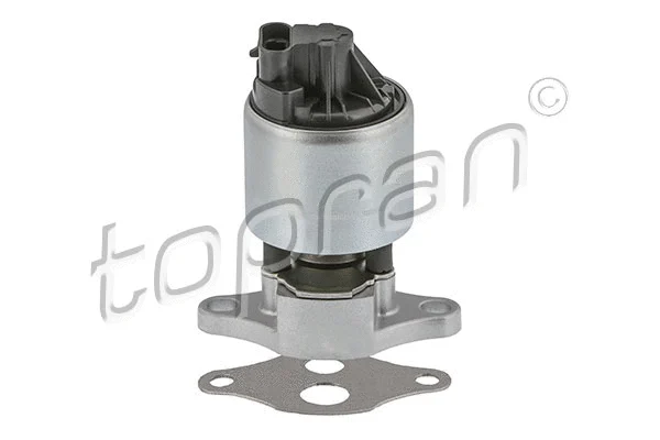 EGR Valve (205 868)