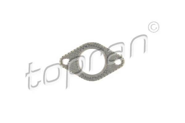 Gasket, exhaust manifold (100 263)