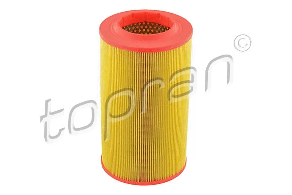 Air Filter (720 967)